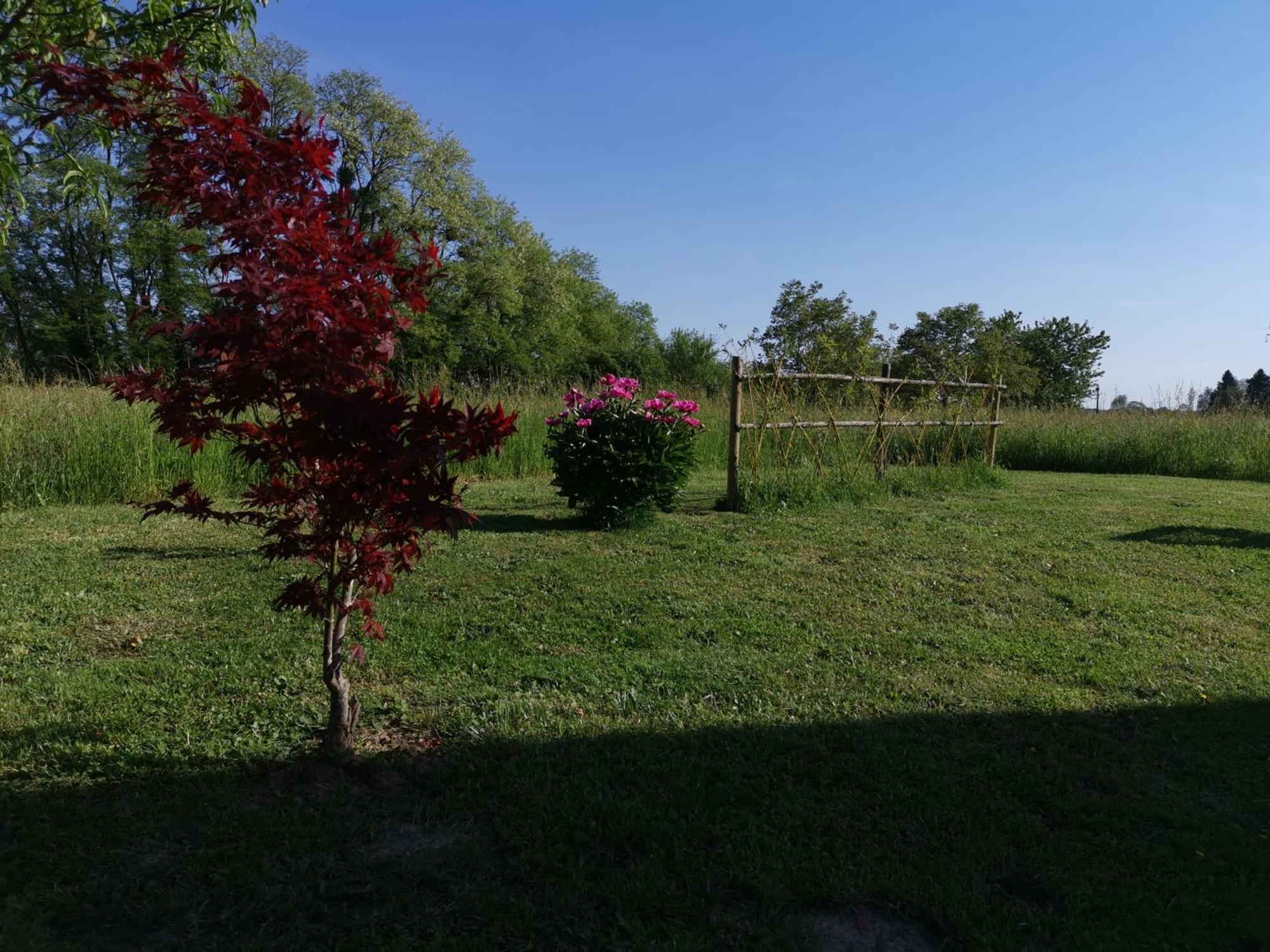 La Ferme De La Terve Bed and Breakfast Bruailles Eksteriør billede